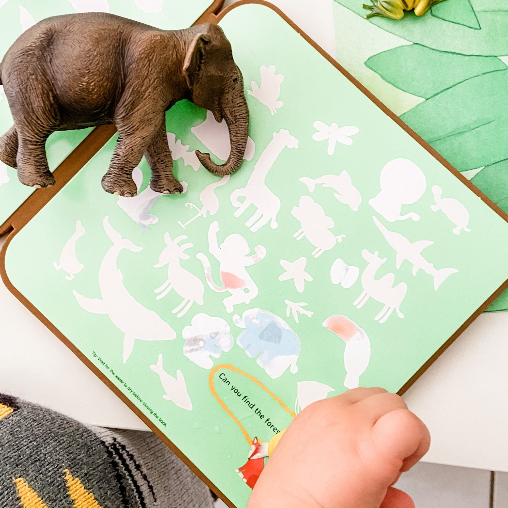 MierEdu Magic Water Doodle Book: Forest Animals - Ideal for Travel
