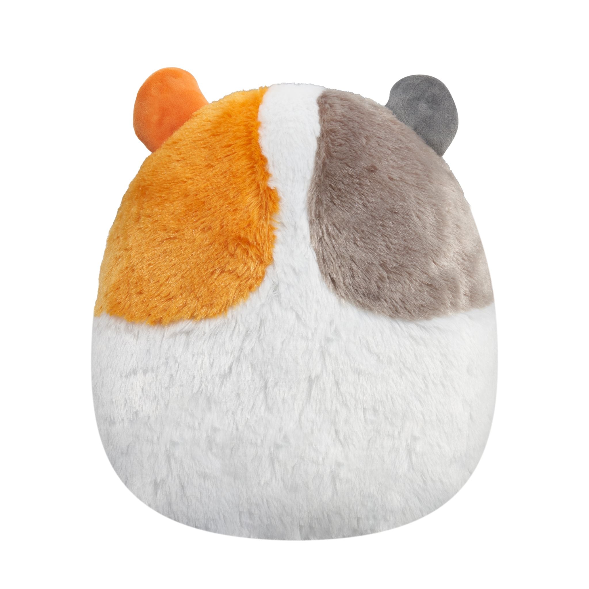12-Inch Squishmallows Fuzzamallow Premium Plush - Everett The Guinea Pig