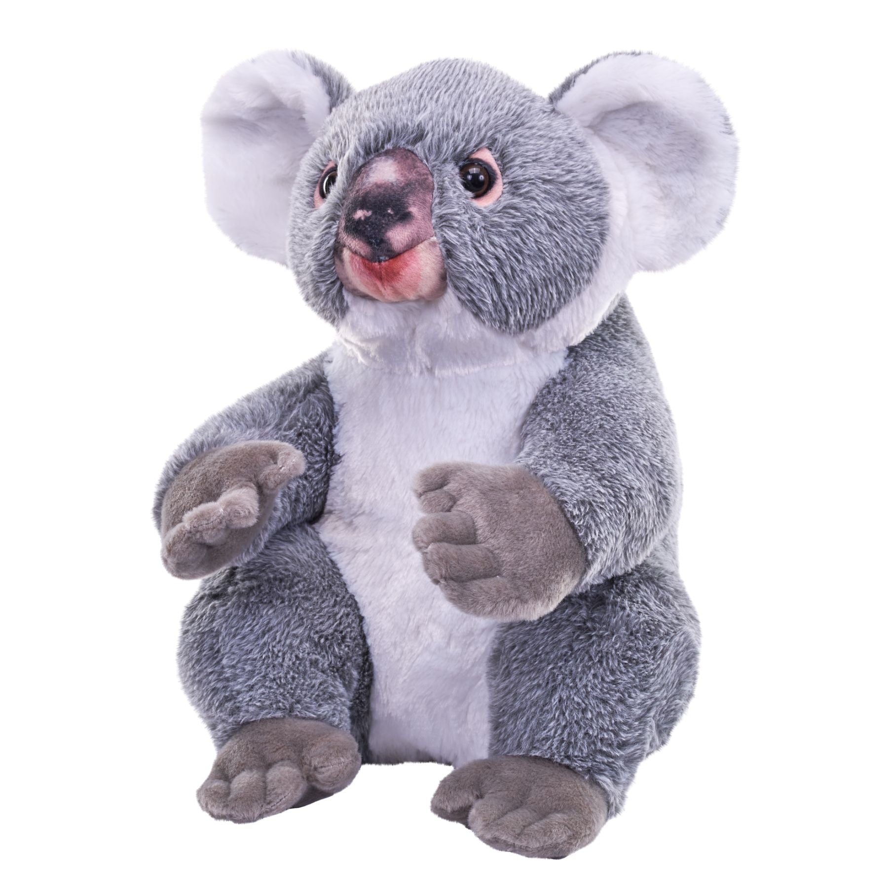 15-Inch Wild Republic Realistic Artist Koala Plush Toy