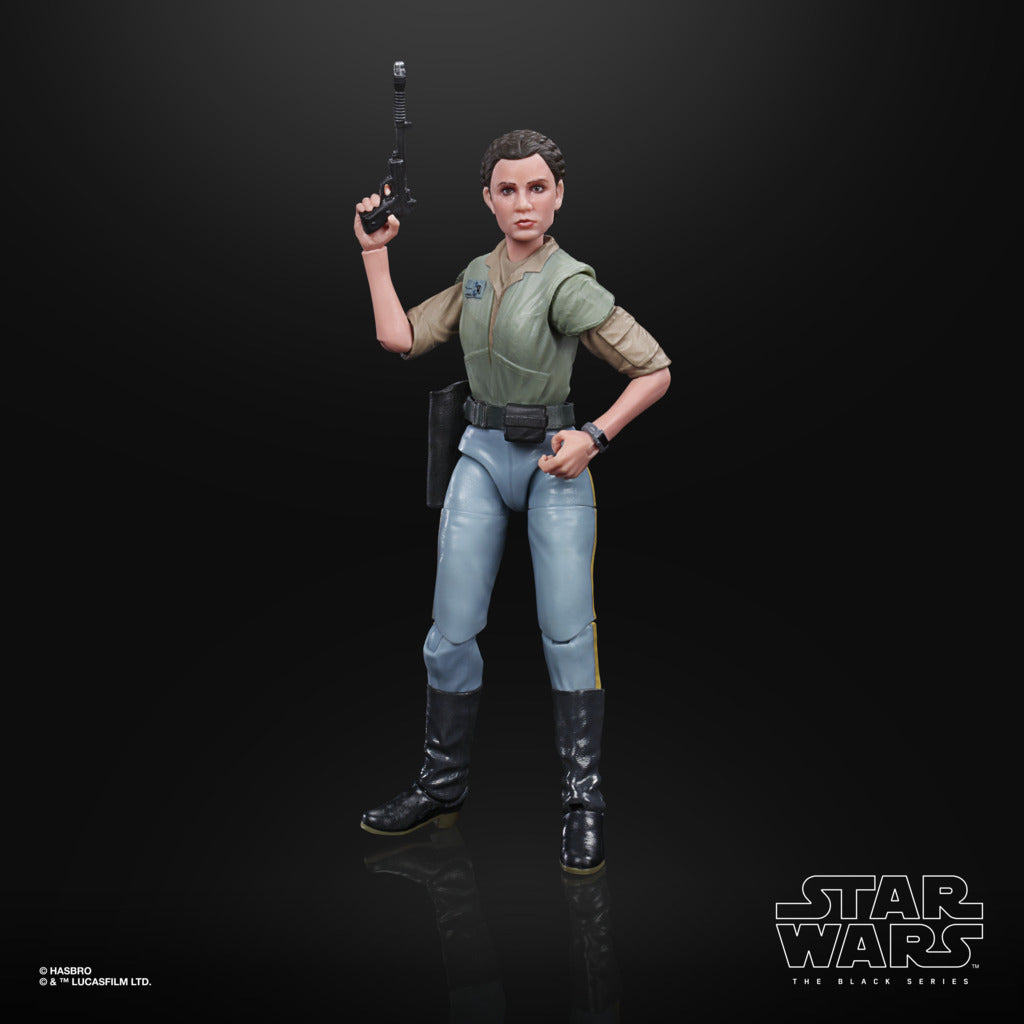 6-Inch Star Wars The Black Series Action Figure - Endor Princess Leia Organa