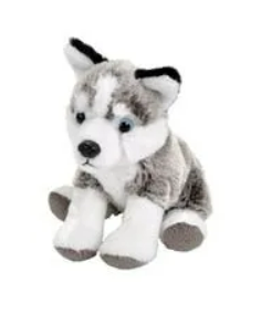 5-Inch Wild Republic Pocketkins Plush Husky Dog