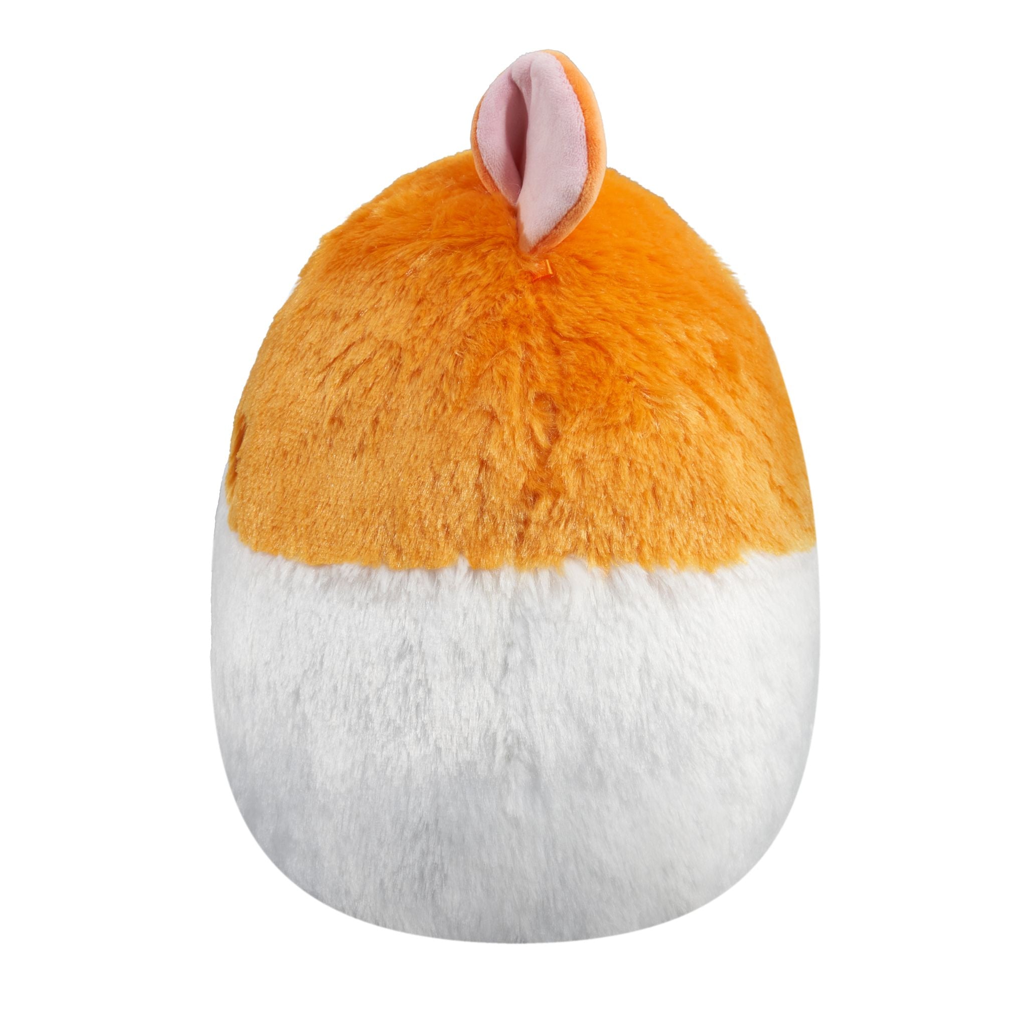 12-Inch Squishmallows Fuzzamallow Premium Plush - Everett The Guinea Pig