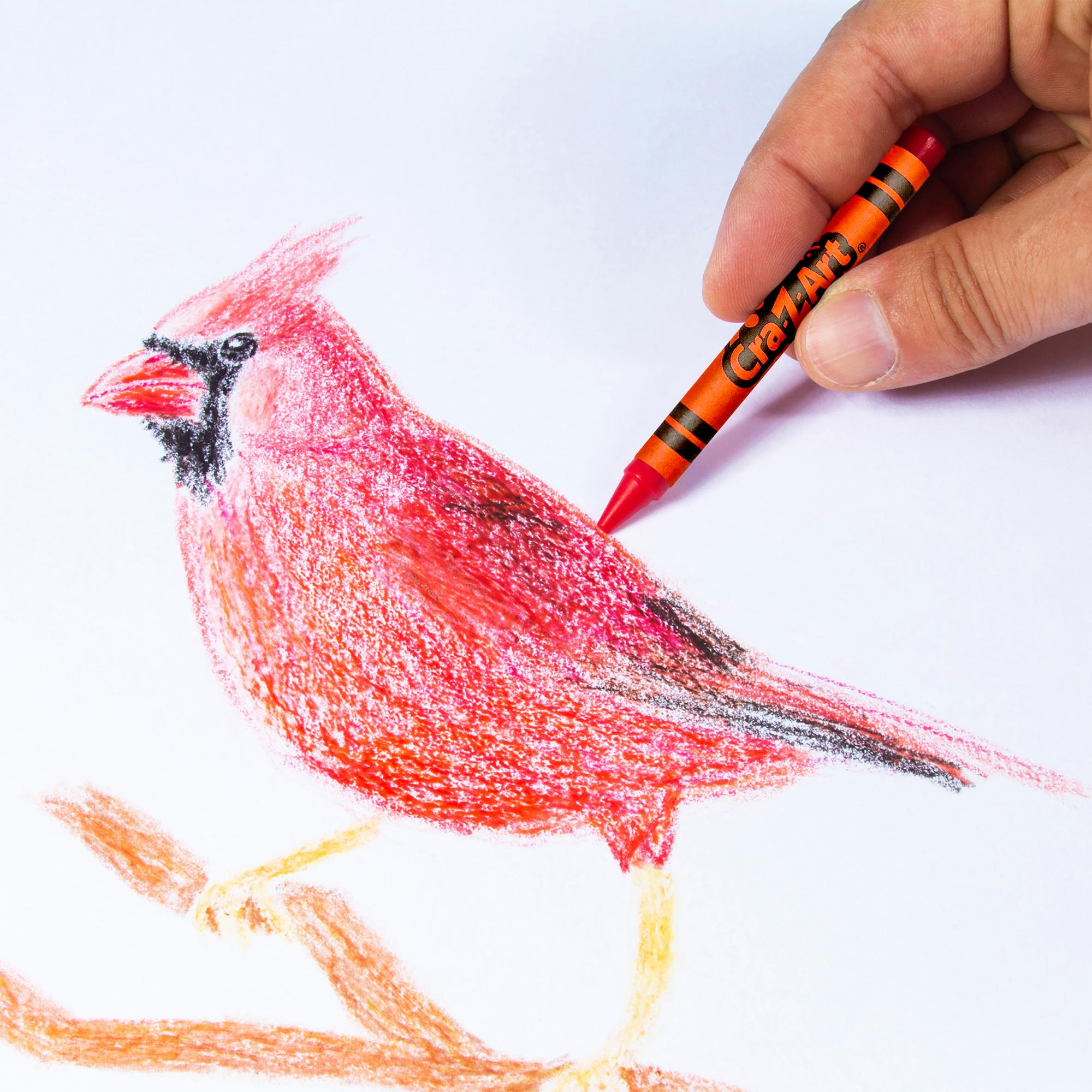 Cra-Z-Art Ultimate Creativity Super Art Set for Young Artists
