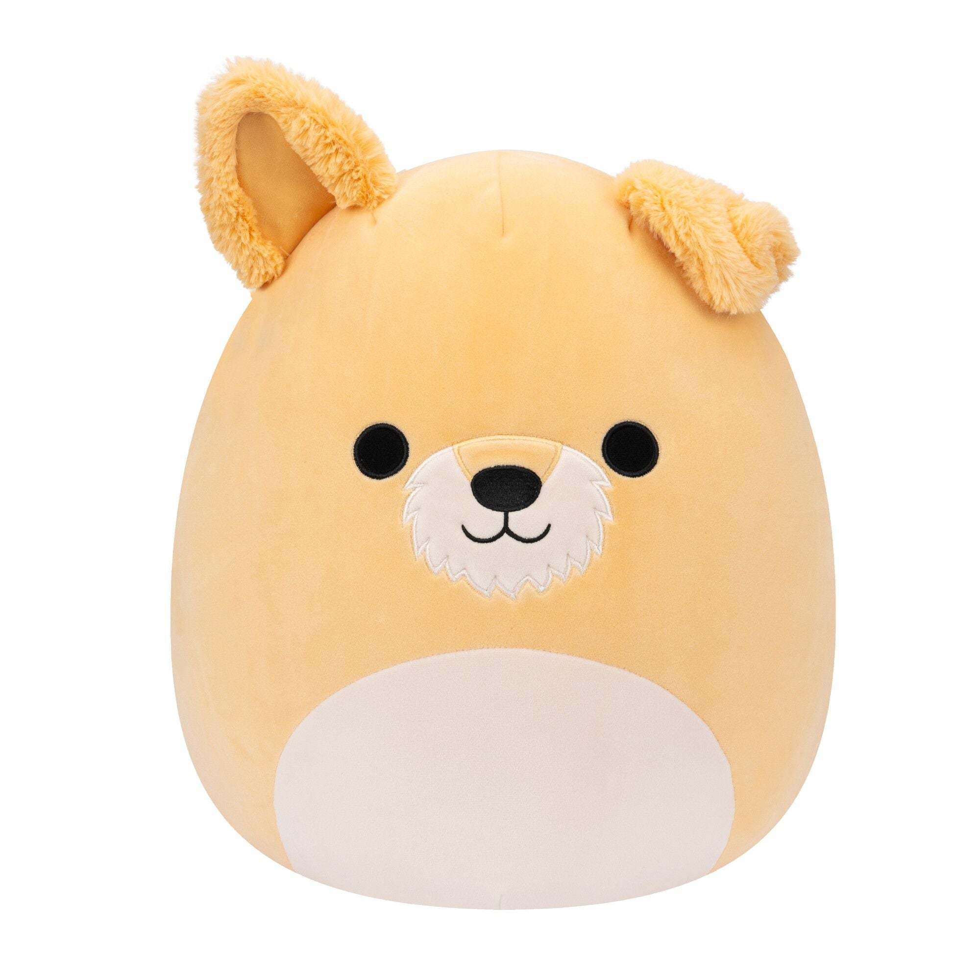14-Inch Squishmallows Plush: S16 Cooper White Dog - Great Deal!