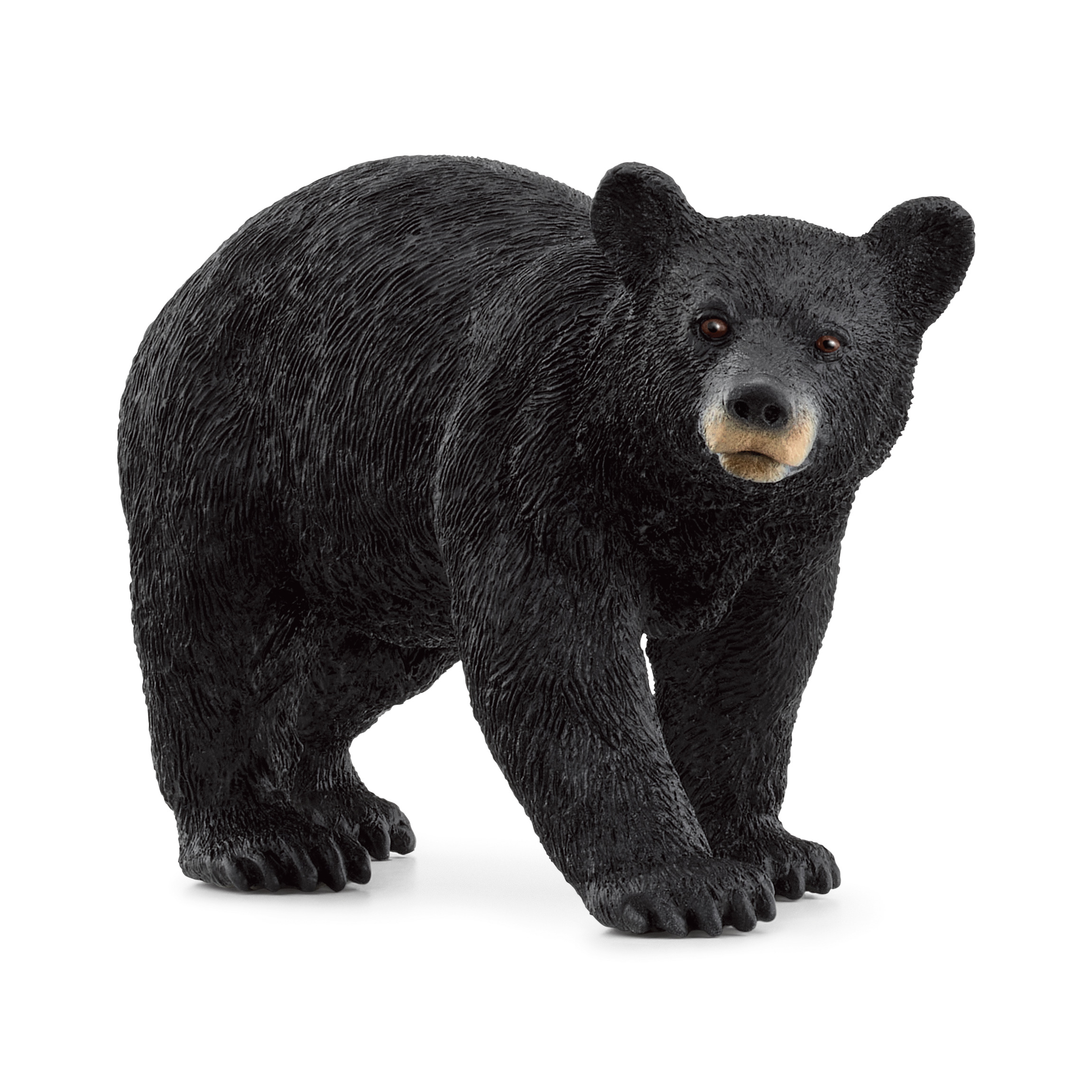 Schleich Realistic American Black Bear Figurine