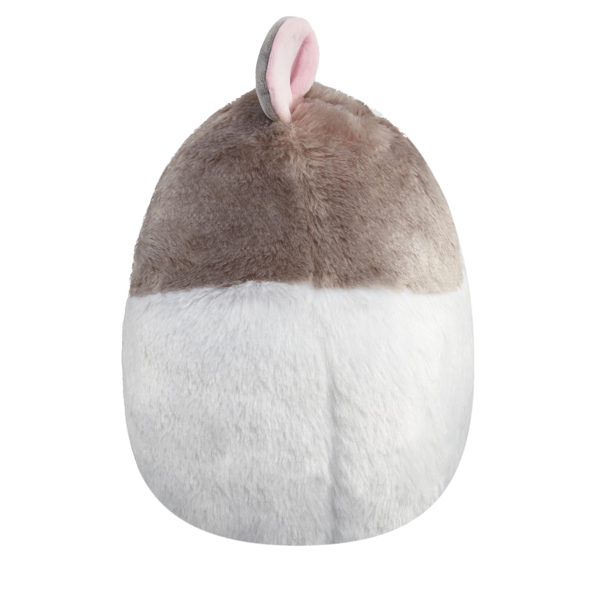 12-Inch Squishmallows Fuzzamallow Premium Plush - Everett The Guinea Pig