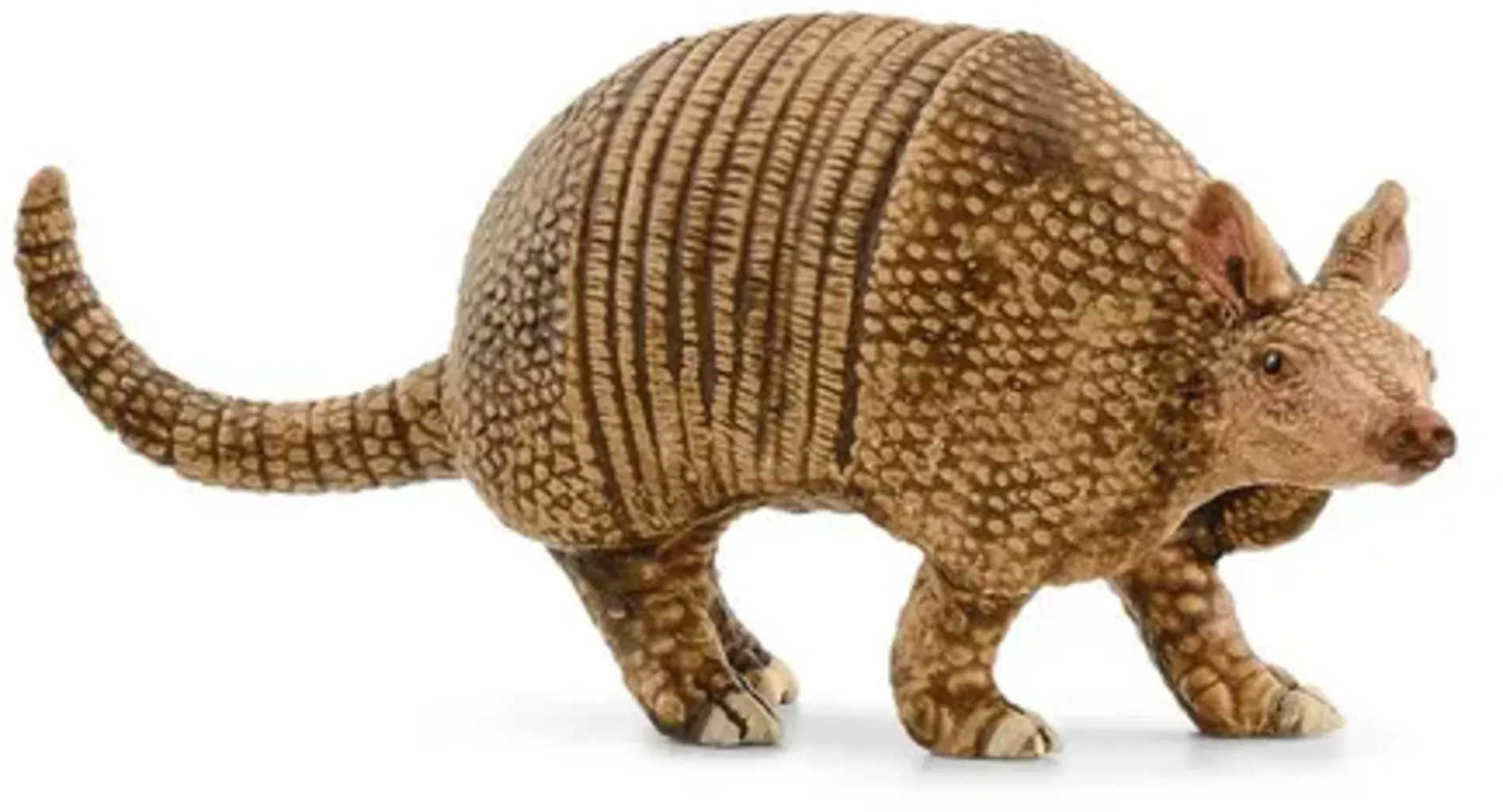 Hot Deal: Schleich Armadillo Toy