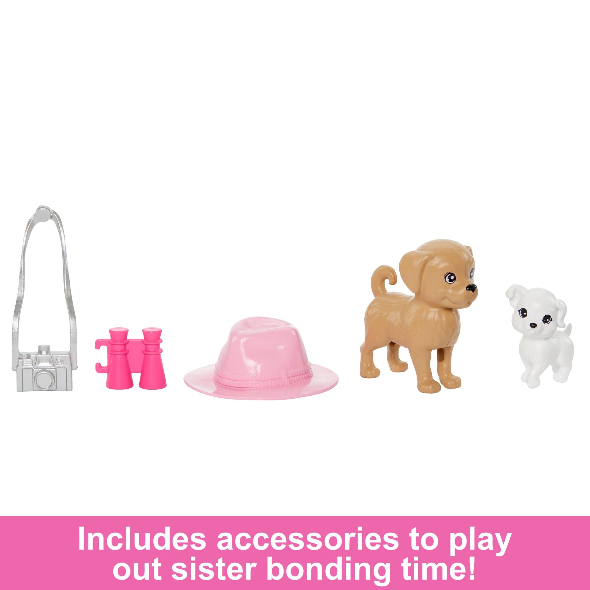 Hot Deal! 2-Pack Barbie and Stacie Rescue Dolls