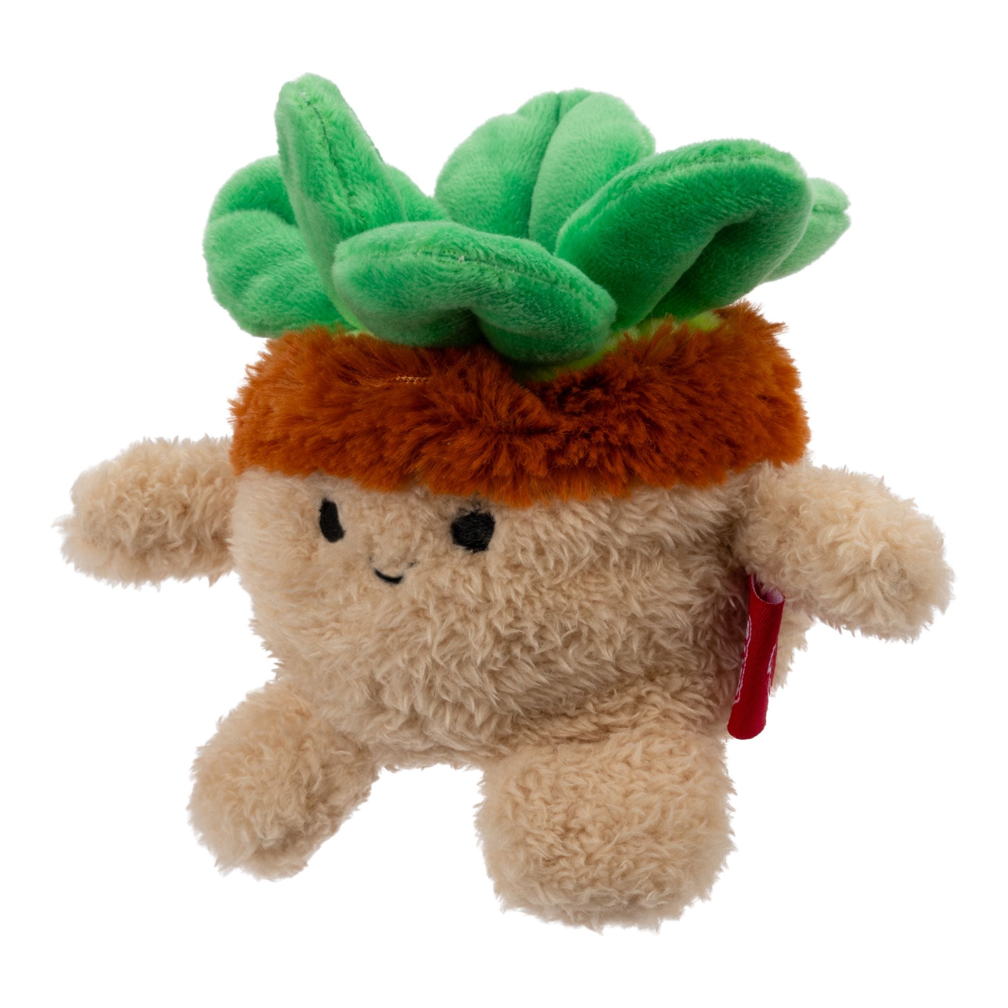 Limited Offer! 4.5 - Inch Soft Plush Homebumz Succulent Stu Bumbumz Toy