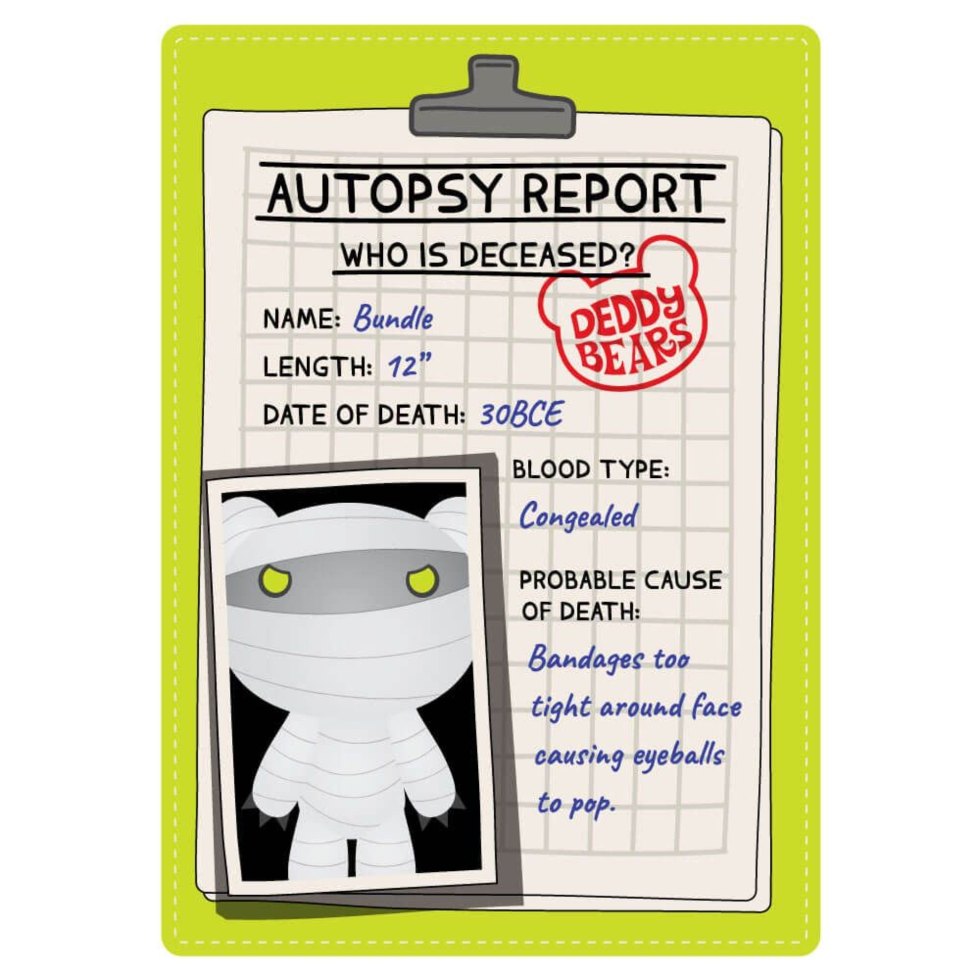 Limited-Time Offer! Deddy Bears Plush Bundle with Bag and Autopsy Report