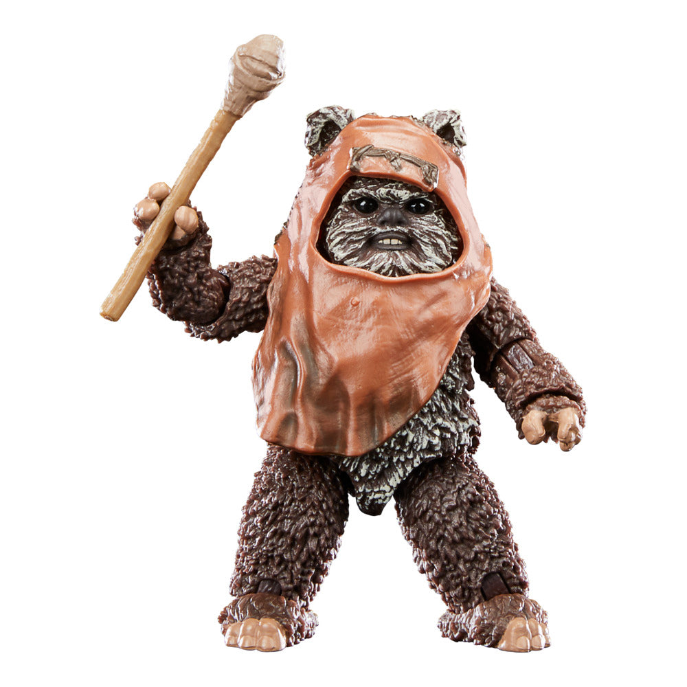 Limited-Time Offer! 6-Inch Star Wars The Black Series Wicket Action Figure for Collectors