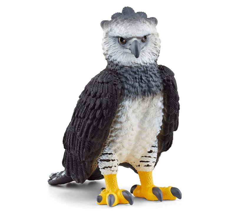 Schleich Realistic Harpy Eagle Toy for Kids' Wild Adventures