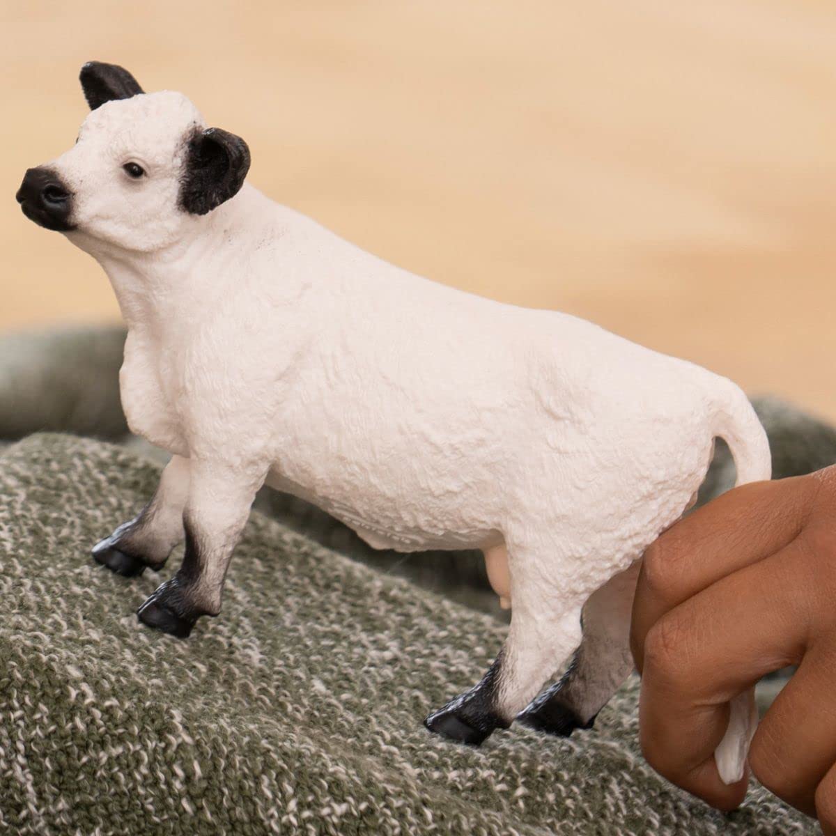 Schleich Adorable White Galloway Cow Toy with Black Ears and Hooves
