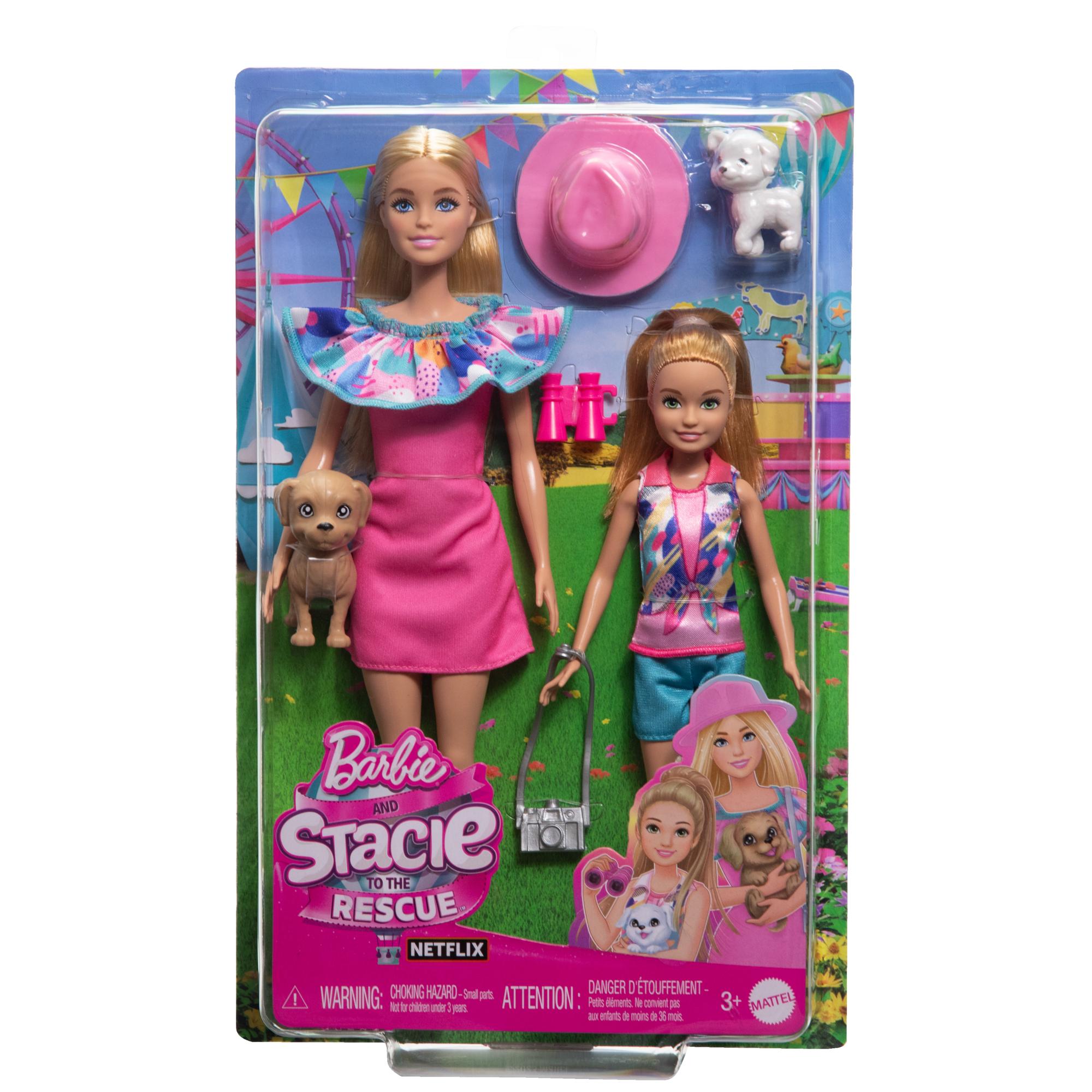 Hot Deal! 2-Pack Barbie and Stacie Rescue Dolls