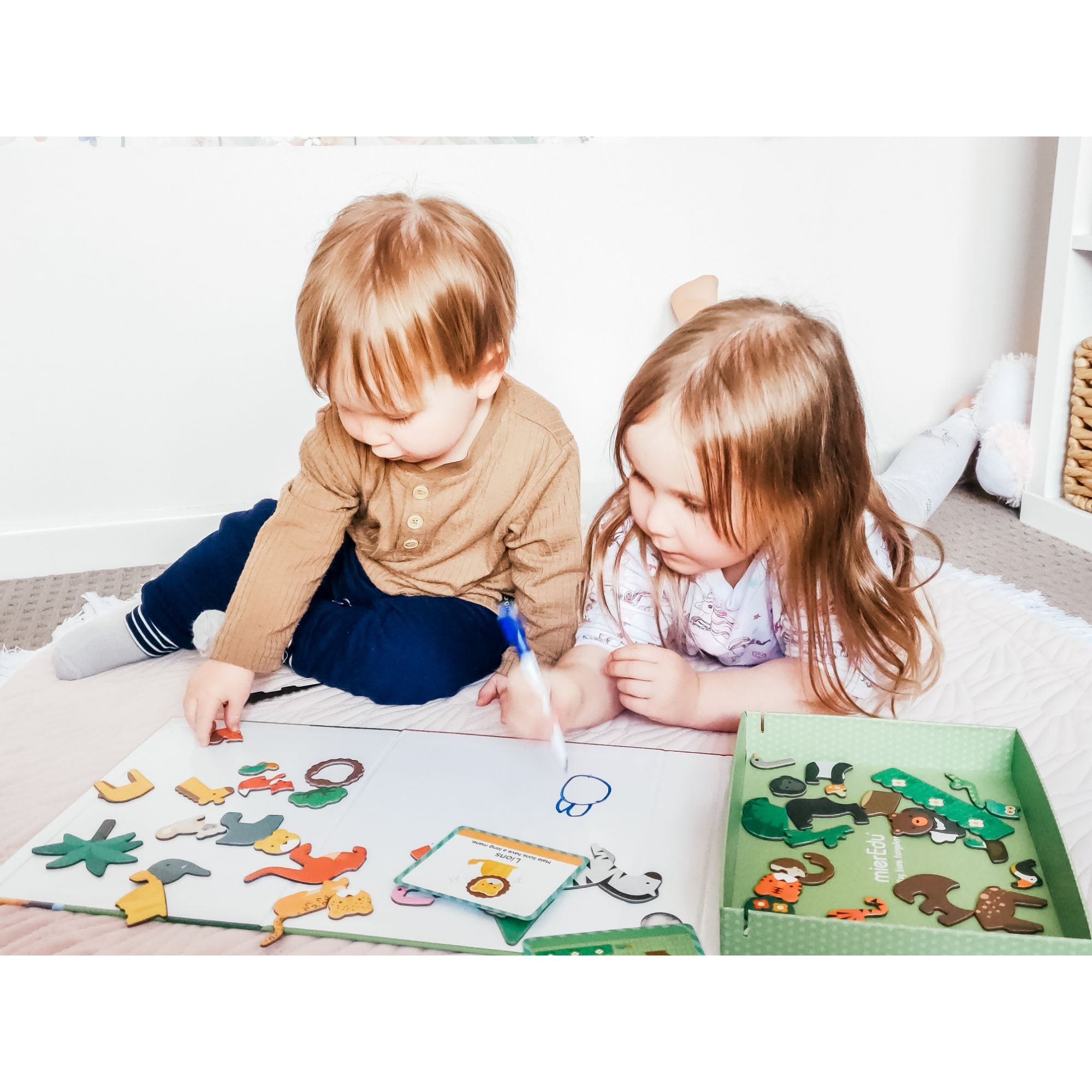 Hot Sale! MierEdu Educational Animal World Magnetic Art Case for Kids
