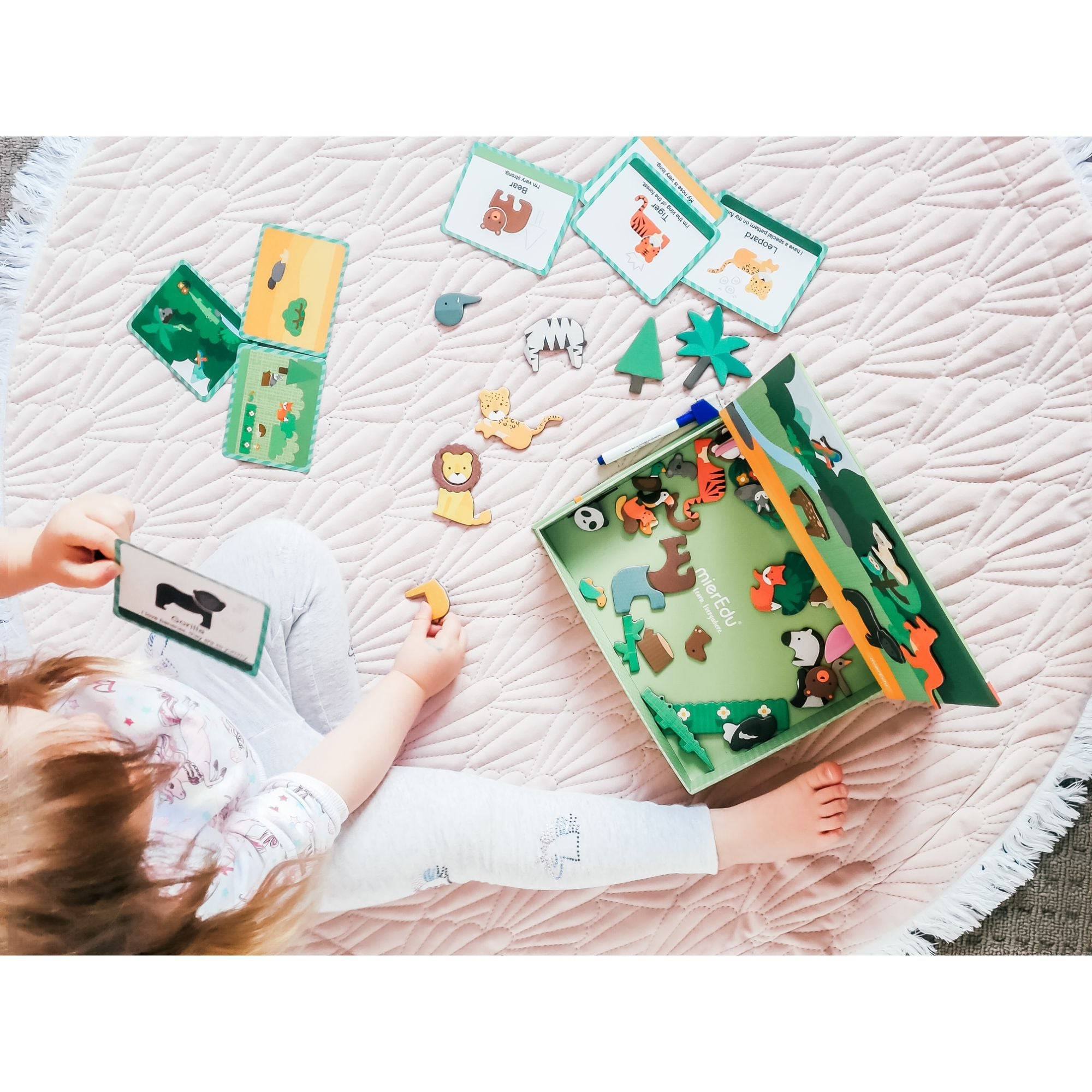 Hot Sale! MierEdu Educational Animal World Magnetic Art Case for Kids