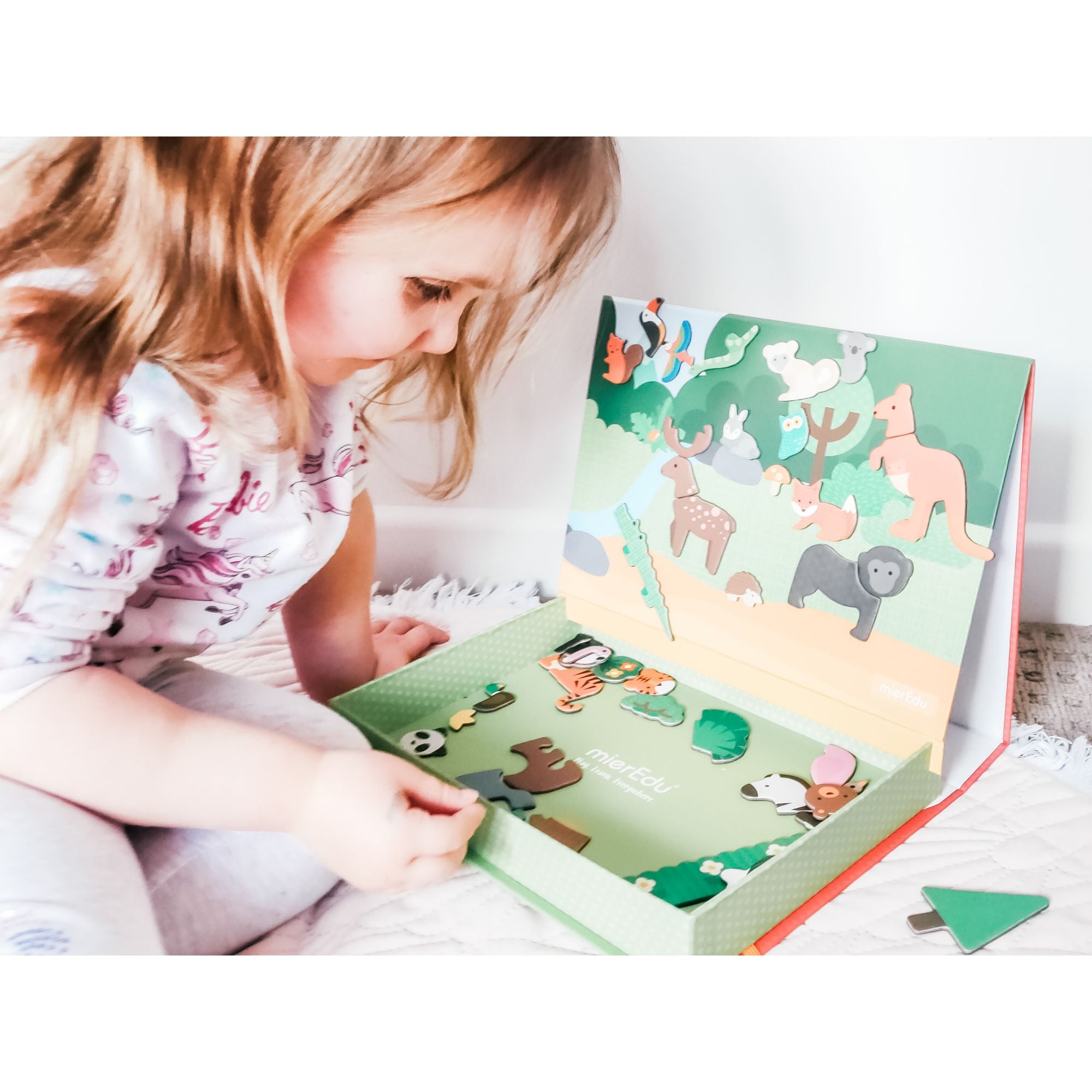 Hot Sale! MierEdu Educational Animal World Magnetic Art Case for Kids